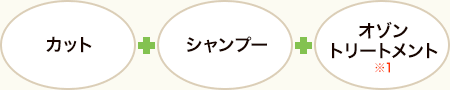 カット + シャンプー + オゾントリートメント※1